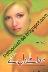 Urdu novel pdf