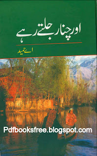 Aur Chanar Jalte Rahe Novel By A. Hameed Free Download