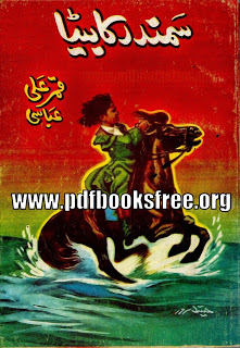 Samandar Ka Beta By Qamar Ali Abbasi Free Download in PDF