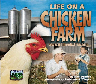 Life in a Chicken Farm By Judy Wolfman Pdf Free Download