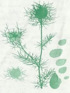 Clongi13 224x300