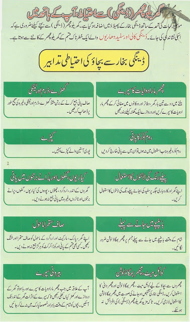 How to Prevent Dengue Fever? Learn in Urdu