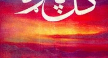 Gul Panra Pashto Ghazals By Ali Khel Daryab Free Download