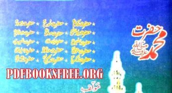 Nabiyon Ke Qisse by Amir Jan