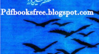 Parinday By Mustansar Hussain Tarrar