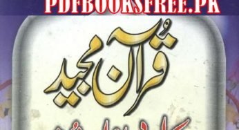 Quran Ke Adabi Asrar o Ramooz By Maulana Zulfiqar Ahmad Naqshbandi