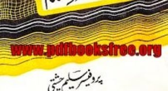 Sharah Zarb e Kaleem By Professor Yousaf Saleem Chishti