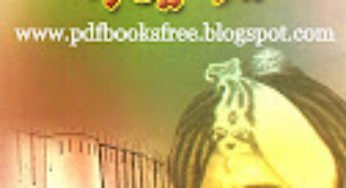 Sultan Zaheer-ud-Din Babar By Aslam Rahi M.A