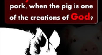 Why Does Islam Forbid Pork?