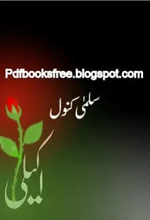 UrduNovelAkeliBySalmaKanwal