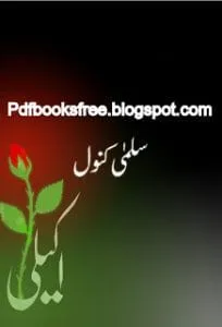 UrduNovelAkeliBySalmaKanwal