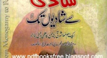 From Monogamy To Polygamy